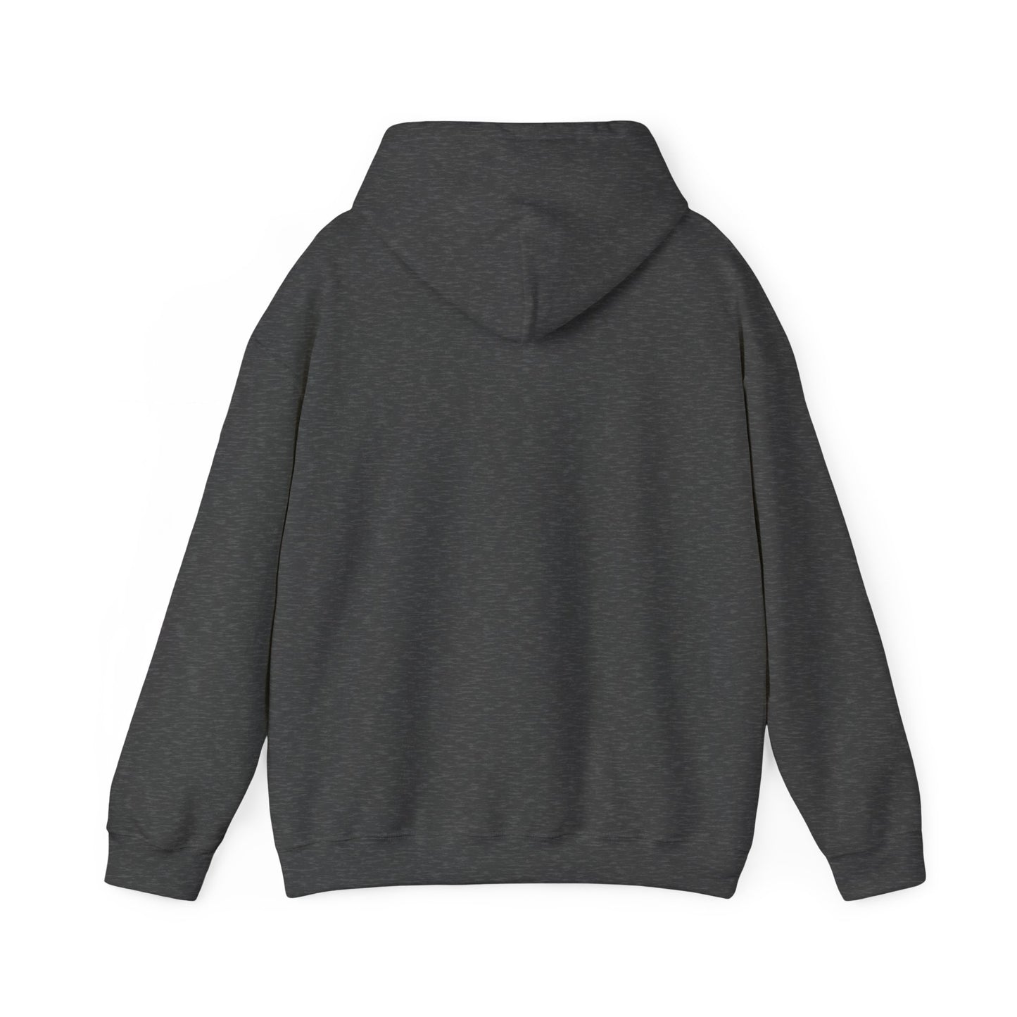 Born to Game Unisex Hoodie, Gamer Sweatshirt, Cozy Gaming Apparel, Perfect Gift for Gamers, Video Game Merchandise