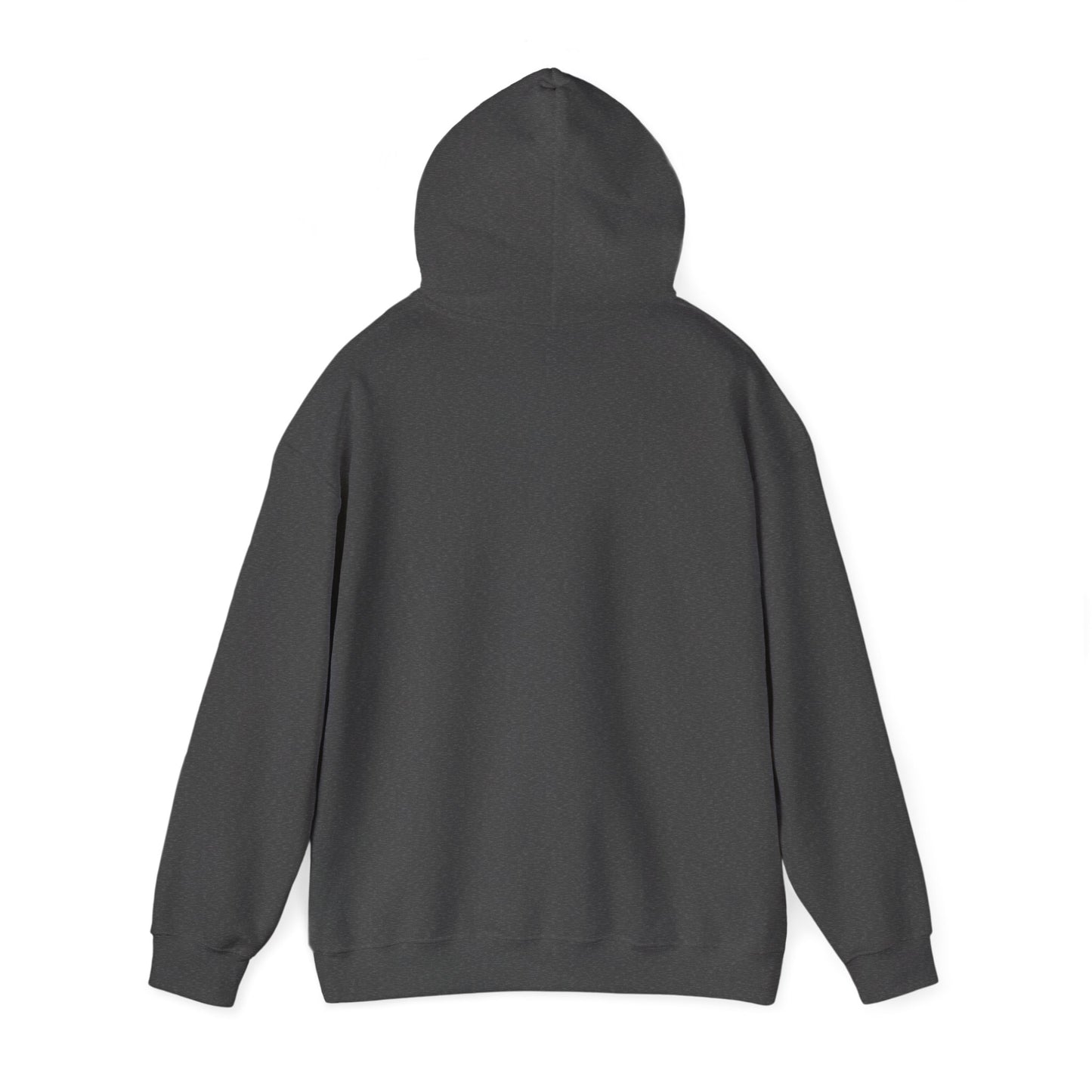Born to Game Unisex Hoodie, Gamer Sweatshirt, Cozy Gaming Apparel, Perfect Gift for Gamers, Video Game Merchandise