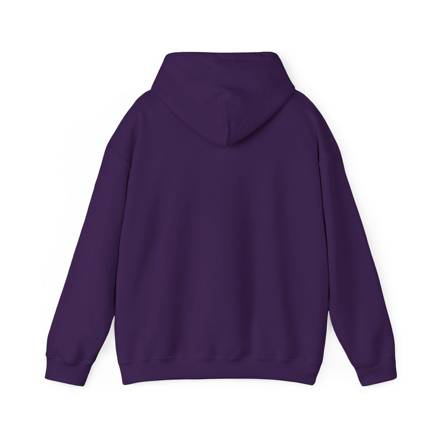 Born to Game Unisex Hoodie, Gamer Sweatshirt, Cozy Gaming Apparel, Perfect Gift for Gamers, Video Game Merchandise