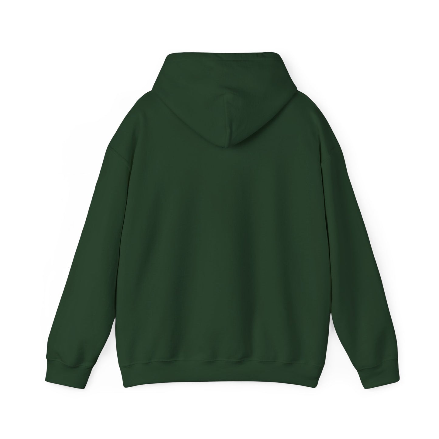 Born to Game Unisex Hoodie, Gamer Sweatshirt, Cozy Gaming Apparel, Perfect Gift for Gamers, Video Game Merchandise