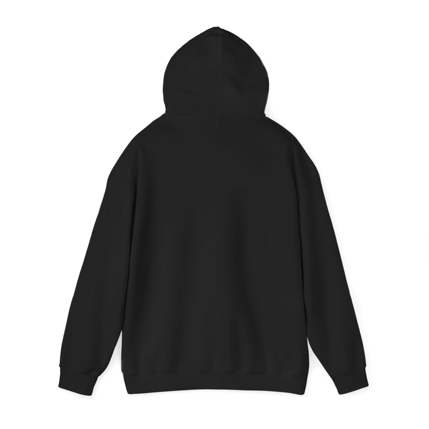 Born to Game Unisex Hoodie, Gamer Sweatshirt, Cozy Gaming Apparel, Perfect Gift for Gamers, Video Game Merchandise
