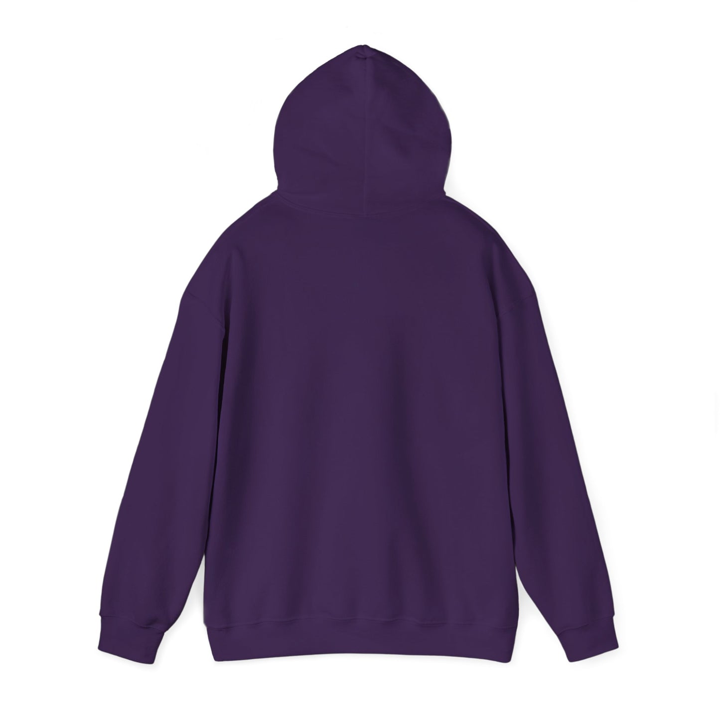 Born to Game Unisex Hoodie, Gamer Sweatshirt, Cozy Gaming Apparel, Perfect Gift for Gamers, Video Game Merchandise